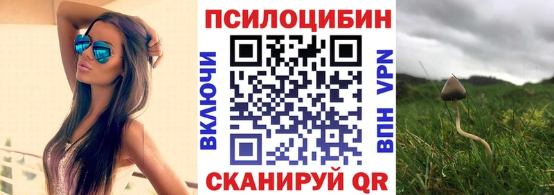 Псилоцибиновые грибы мухоморы  Сысерть 